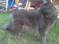 /album/fotogaleria-caspian-of-vesper-sk/a2012-07-01-20-03-40-0-jpg/